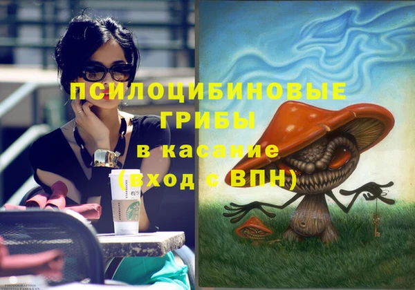 тгк Киреевск