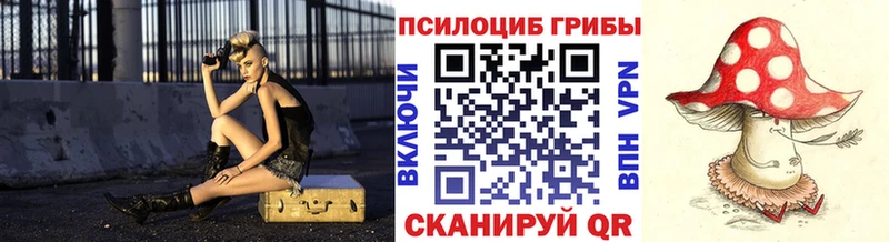Купить  Спас-Клепики  Галлюциногенные грибы MAGIC MUSHROOMS 